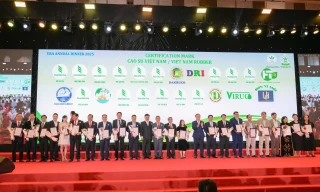 Ngành Cao su Việt Nam phát triển bền vững trong thách thức