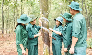 Ngành Cao su Việt Nam: Thi đua để phát triển bền vững