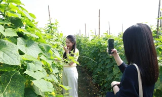 Minh Châu 'thức giấc': Từ đảo bãi bồi đến xã nông thôn mới kiểu mẫu