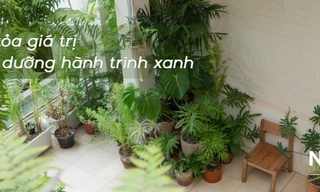 Trạm Xanh – Khi sinh viên đưa lối sống xanh trở thành một phong cách sống thực tế