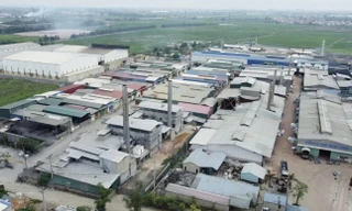 Giải pháp cải tạo, hồi phục những 'vùng đất chết'