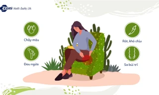 Ai là đối tượng dễ mắc bệnh trĩ nhất?