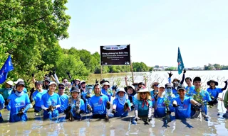 UOB Việt Nam khởi động trồng 10.000 cây rừng phòng hộ Cà Mau