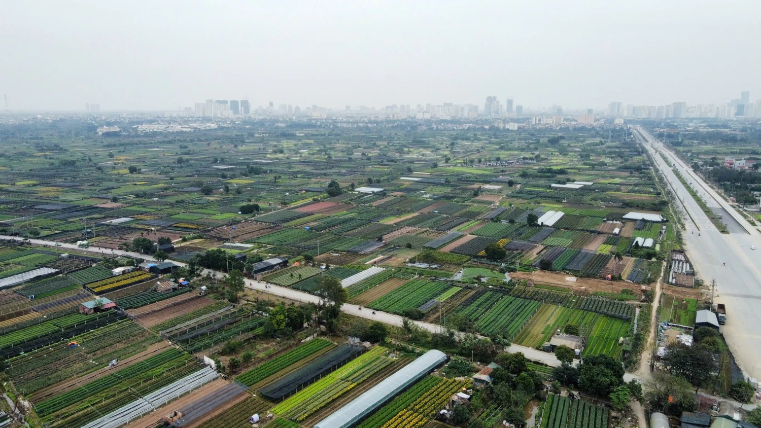 Hà Nội cho thuê hơn 10ha đất tại Thượng Cát để phát triển Khu công nghệ cao sinh học