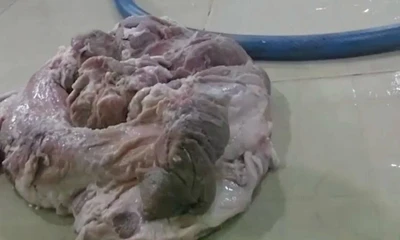 TPHCM kiểm tra 9 doanh nghiệp cung cấp nguyên liệu cho Sago Food