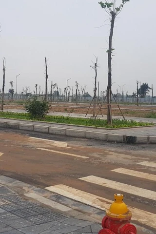 Doanh nghiệp bất động sản đón tin vui trước đề xuất mới trong dự thảo Luật Đất đai sửa đổi