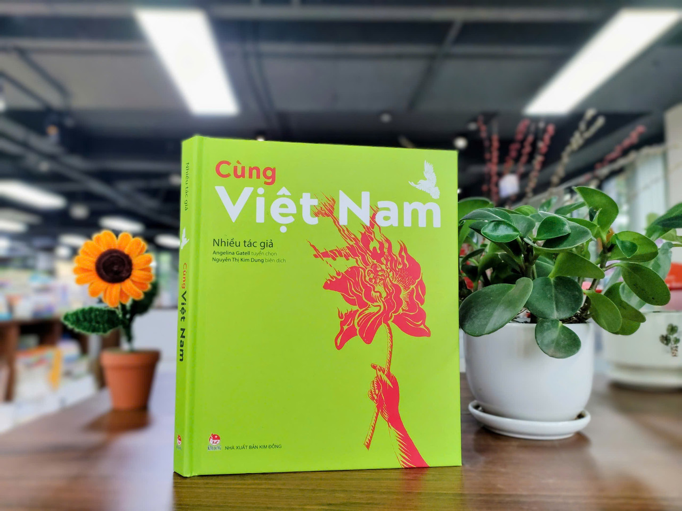 2-cung-viet-nam.jpg