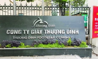 Sức nóng thoái vốn tác động gì tới cổ phiếu? 