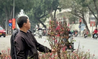 Bộ Tài chính thông tin về giá cả thị trường Tết 