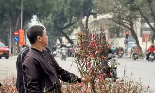 Bộ Tài chính thông tin về giá cả thị trường Tết 