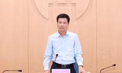 Hà Nội xem xét xây dựng tổ hợp chăn nuôi lợn trong nhà cao tầng
