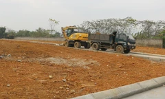 Hà Nội: Ngang nhiên phân lô, tách thửa đất giao khoán rồi rao bán