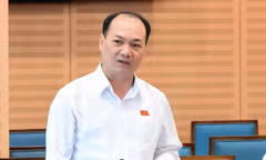 Bí thư xã Đông Anh: Xin đấu giá một khu đất, hồ sơ 'loanh quanh, hết chỗ này tới chỗ kia' gần 10 tháng