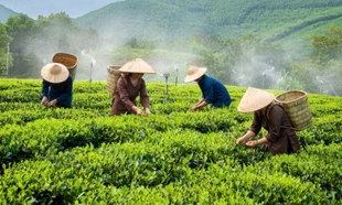 Thêm cuộc thi ảnh phải thu hồi giải nhất 