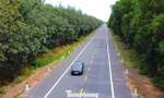 Tuyến đường băng qua rừng cao su đẹp như tranh trước ngày thông xe