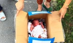 Bé sơ sinh bị bỏ rơi trong thùng giấy sau khi đôi nam nữ cãi nhau