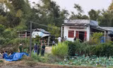 Diễn biến mới vụ nghi có nhiều người trong một gia đình tử vong ở Gia Lai