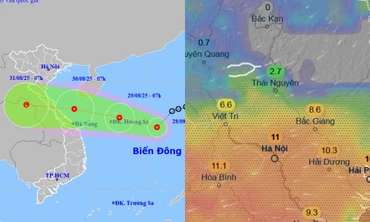 Bão Bualoi có đường đi lượn theo bờ biển nước ta, phạm vi ảnh hưởng rộng