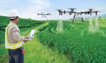 Vì sao cần đưa AI, robot xuống đồng ruộng?