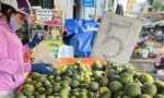 Trái cây 'đại hạ giá', có loại chỉ 5.000 đồng/kg ở TPHCM 