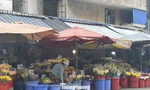 'Vựa hoa tươi' lớn nhất TPHCM trước thềm 20/10