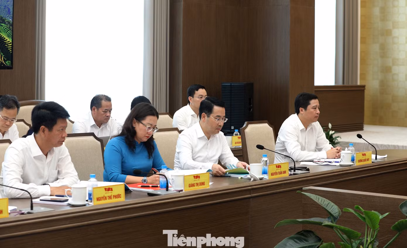 tp-c_1784008290868-5681740926141307050-5681740926141307050-40833c1edeb27b0dd584045ee1298809.jpg