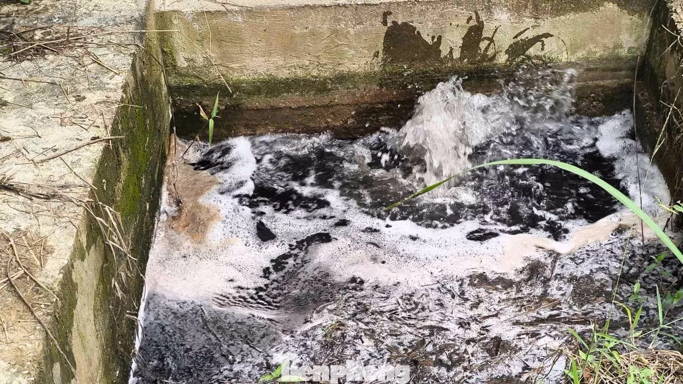 tp-c_58-1778582721-z7818211790475-b719ca18d5538ed1101186b67c84d0af.jpg
