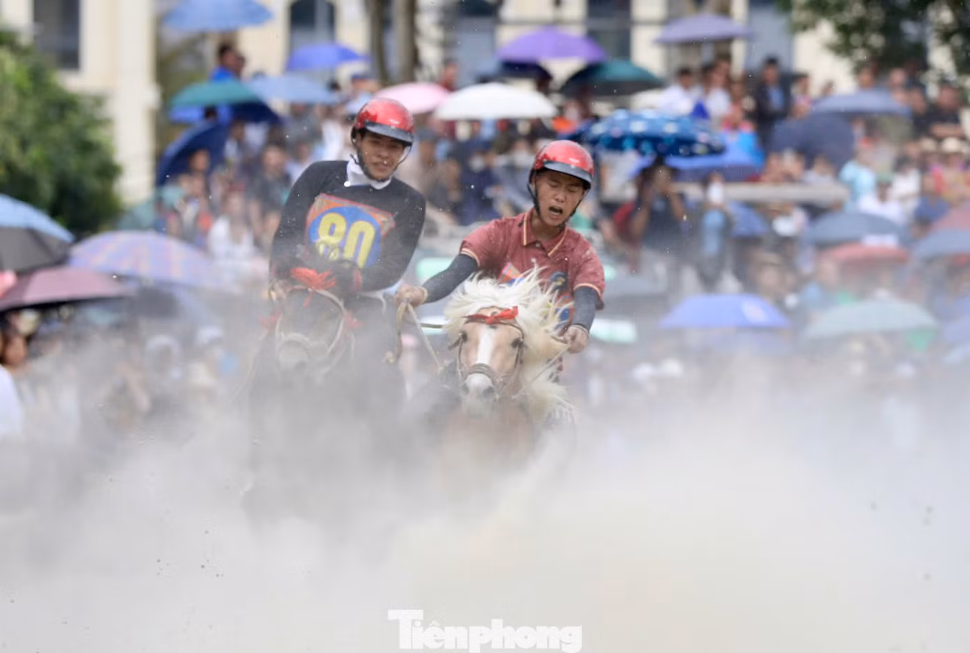 tp-c_a9f58386-6a15-44e4-9c23-767d73a88a87jpg.jpg