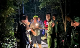 6 người bị lạc trên núi ở TPHCM