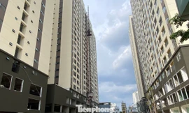 TPHCM: Thêm 22 dự án với quy mô 20.000 căn nhà ở xã hội