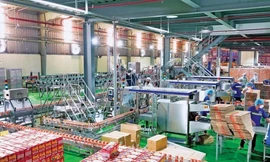 Lý do nhân sự cấp cao nhiều doanh nghiệp rời 'ghế nóng'