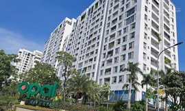 Thêm 4 dự án nhà ở chung cư, đất nền ở TPHCM được cấp sổ