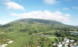 Đồng Nai tính thu gần 7.000 tỷ từ 3 khu đất đấu giá