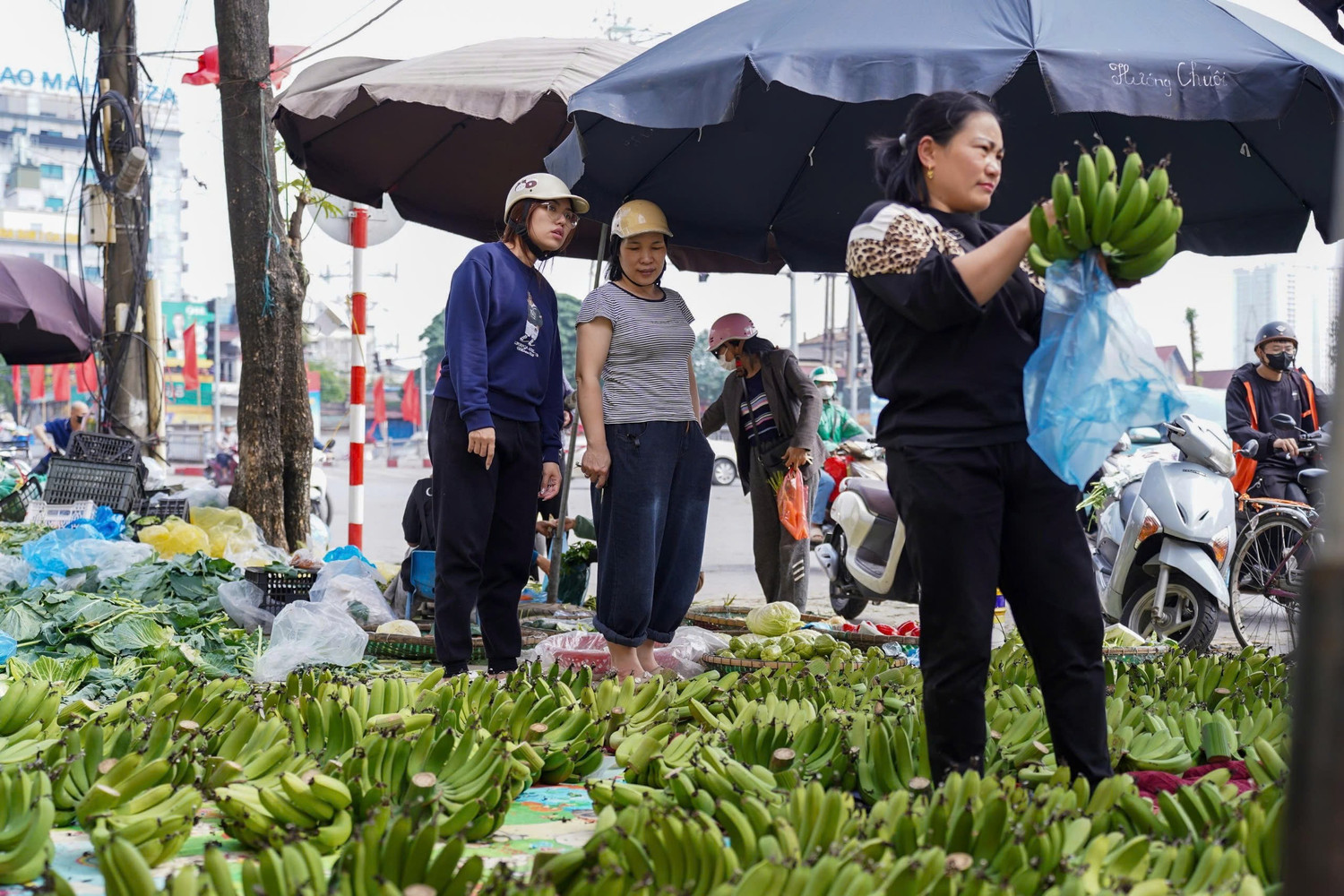 Chuối xanh 28 Tết: Từ nửa triệu ‘rơi’ xuống 30.000 đồng vẫn ế