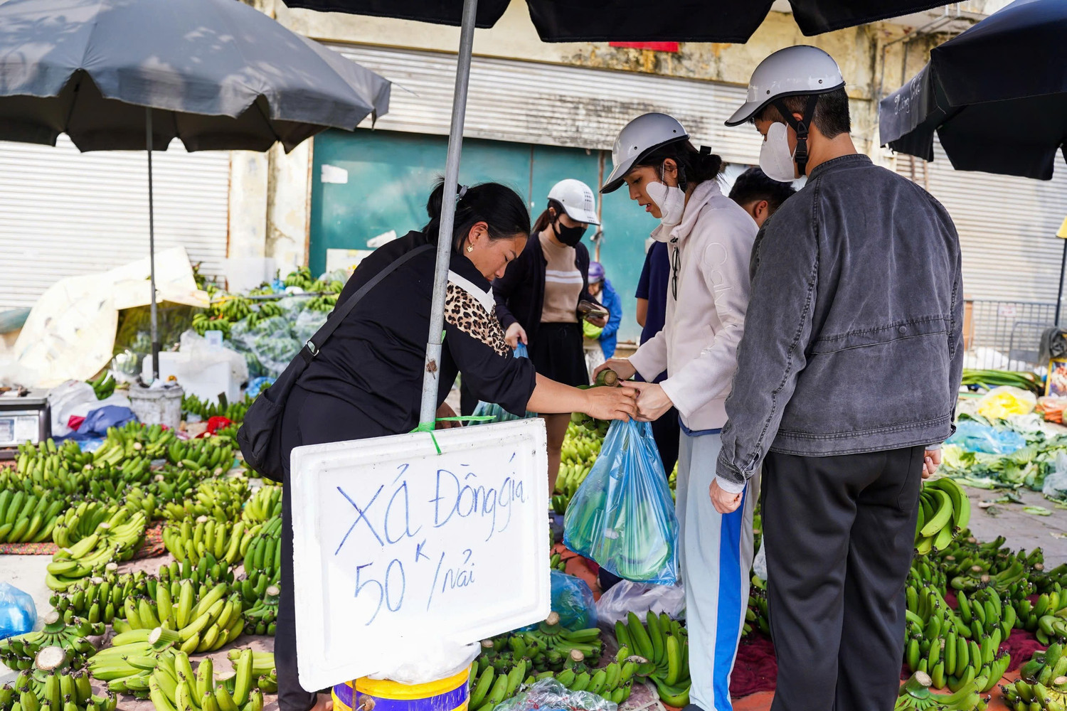 Chuối xanh 28 Tết: Từ nửa triệu ‘rơi’ xuống 30.000 đồng vẫn ế