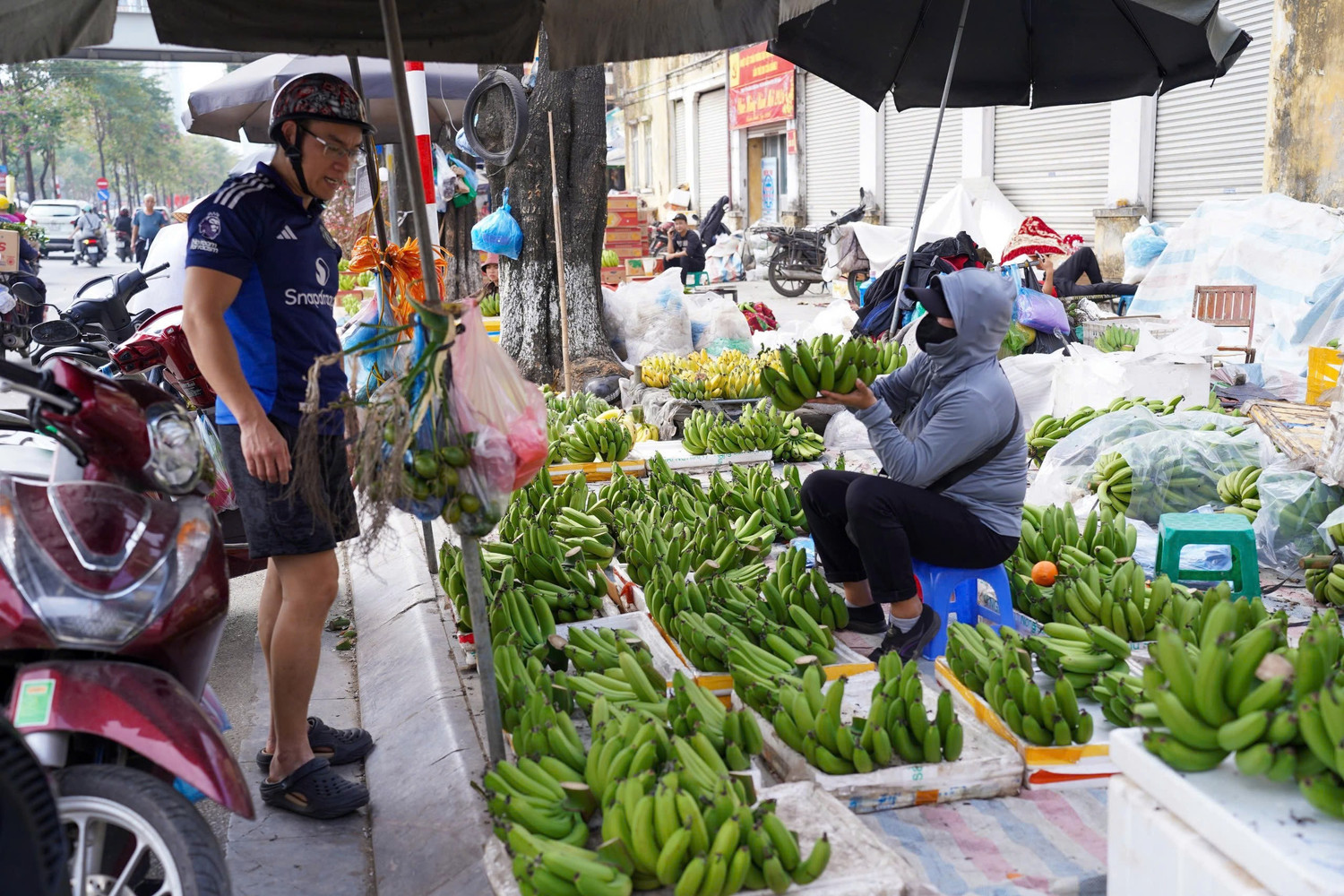 Chuối xanh 28 Tết: Từ nửa triệu ‘rơi’ xuống 30.000 đồng vẫn ế