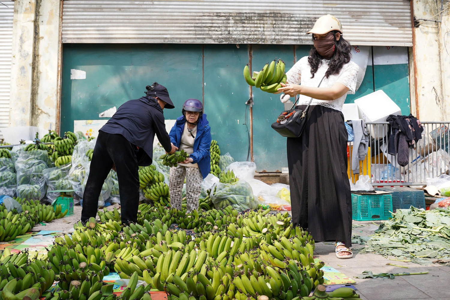 Chuối xanh 28 Tết: Từ nửa triệu ‘rơi’ xuống 30.000 đồng vẫn ế