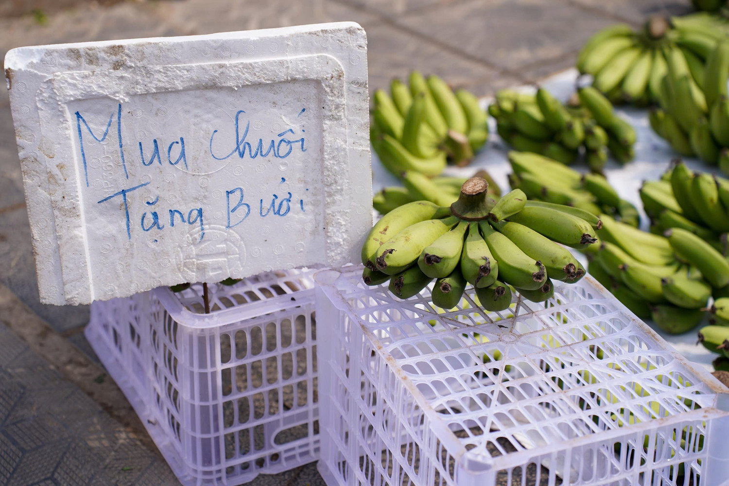 Chuối xanh 28 Tết: Từ nửa triệu ‘rơi’ xuống 30.000 đồng vẫn ế