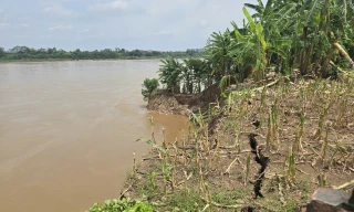 đường bê tông ngõ xóm, tường rào bị nứt.