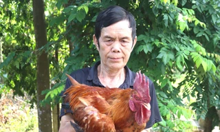 Tấm gương trong phong trào giảm nghèo bền vững ở Tuyên Quang