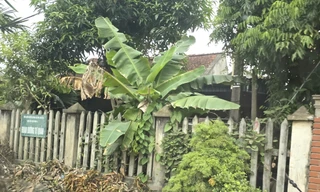 Gia cảnh trắc trở và ‘vết trượt’ của nghi can đâm chết vợ và hai người nghi tình địch 