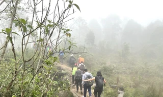 Lào Cai tạm dừng hoạt động ngoài trời, leo núi để ứng phó bão số 3