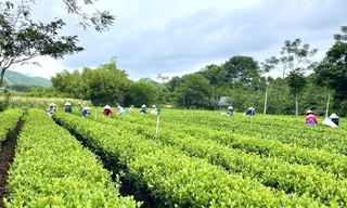 Bảo tồn văn hóa là nền tảng, mở lối du lịch cộng đồng ở Sơn Dương