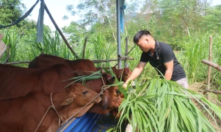 Từ vùng tái định cư thành điểm sáng kinh tế mới ở cửa ngõ Tuyên Quang