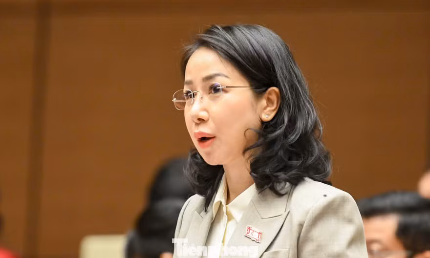 Trải thảm đỏ đón 'đại bàng', tạo điều kiện để hàng triệu 'chim sẻ' lớn mạnh