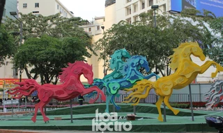 Đường hoa Phố đi bộ Nguyễn Huệ dần hoàn thiện, sẽ đón khách từ 28 tháng Chạp