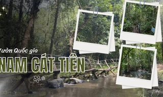 Loạt tọa độ sống ảo "đỉnh chóp" ở Vườn Quốc gia Nam Cát Tiên khiến teen mê mẩn