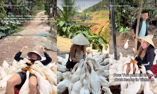 Du khách Tây thích thú với trải nghiệm độc lạ: Đến Việt Nam làm "thủ lĩnh vịt"