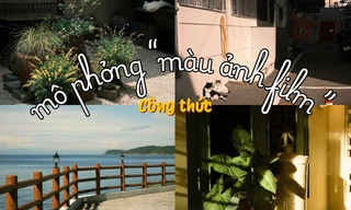 "Bỏ túi" công thức giả lập màu ảnh film trên Dazz Cam khiến Gen Z "mê tít"