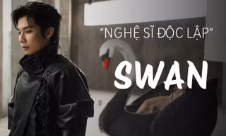 Từ Tân binh đến nghệ sĩ SWAN: "Mọi thứ trở nên lớn hơn, nhưng tôi vẫn là chính mình"